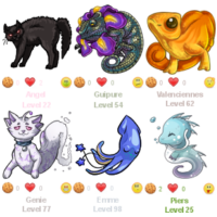 Image: Silke's pets