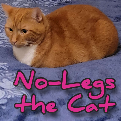 (Link: No-Legs the Cat)